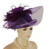 Purple Wool Winter Dress Hat Feathers